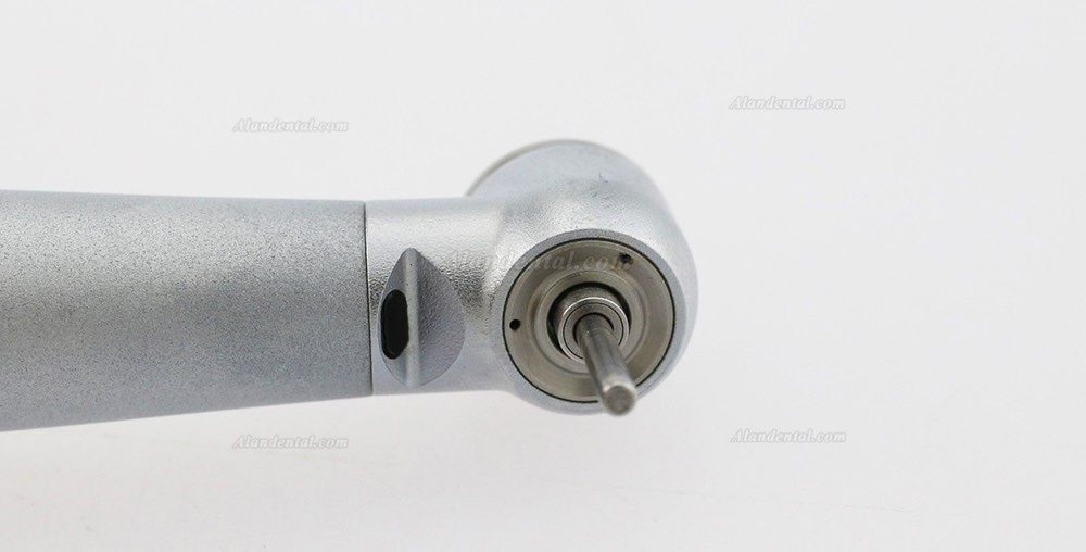 BEING Lotus 302/303PBQ Fiber Optic Turbine Handpiece KAVO Compatible (without Quick Coupler)